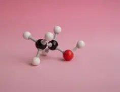 Erlenmeyer's butt, 2 l, PC, filter cap, bottom with partitions, sterile