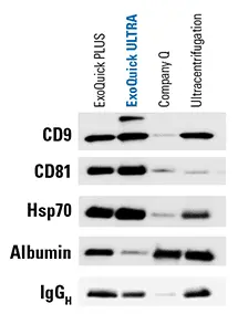 ExoQuick Ultra (20 rxns)