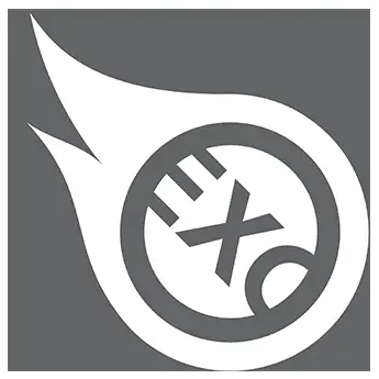 Exo-Fect Transfection Kit  (20 rxns)