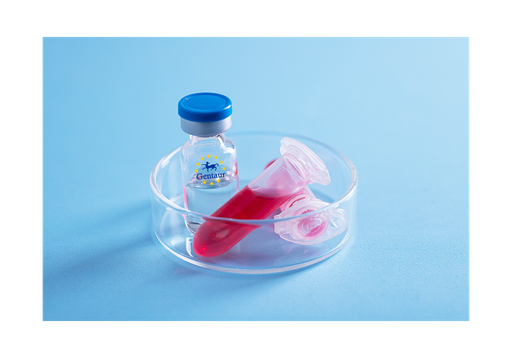 [GEN - PYT463-1mg] 4 1BBR Human